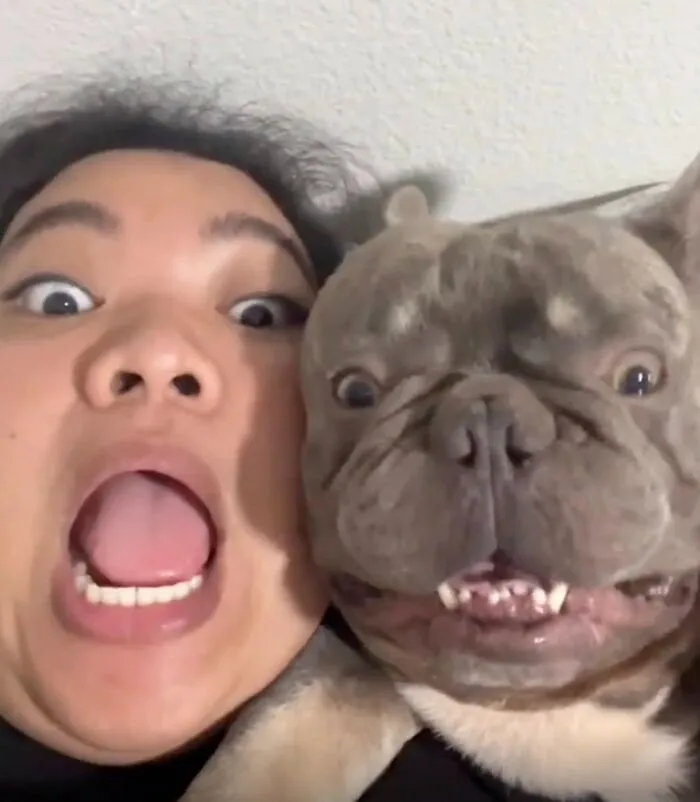 This Page Shared 27 Photos Of Dogs Who Made Their Owners Laugh Without Even Trying