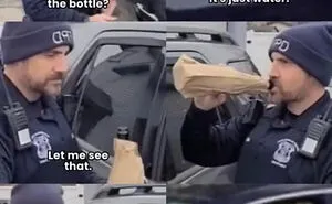 50 Random And Funny Memes To Scroll Through When You Need A Good Giggle
