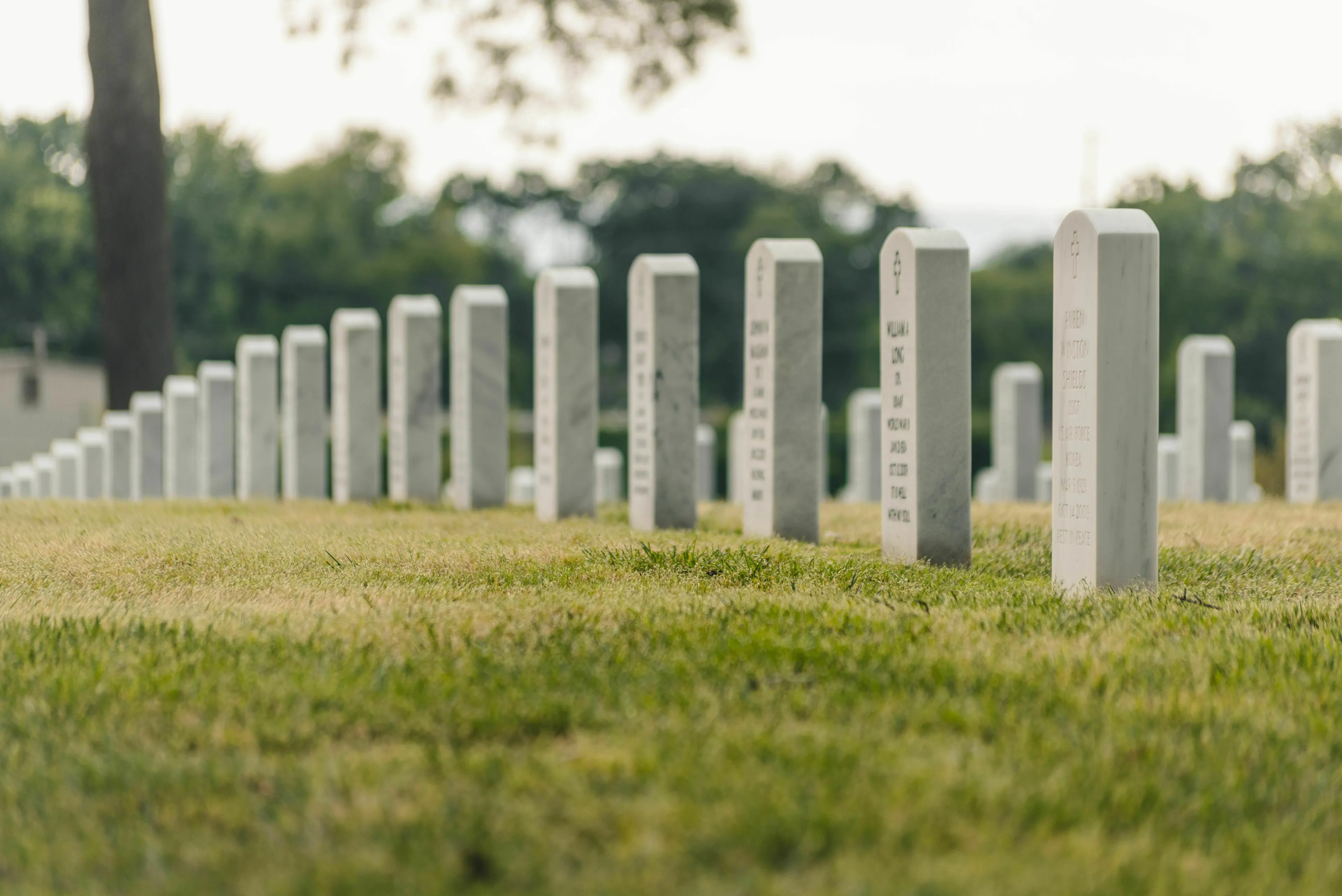 A field of white memorial gravestones for an extinct species quiz.