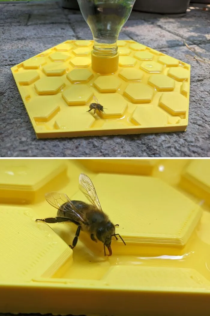 Imprimí un bebedero para insectos, y tuve mi primer visitante a los pocos minutos