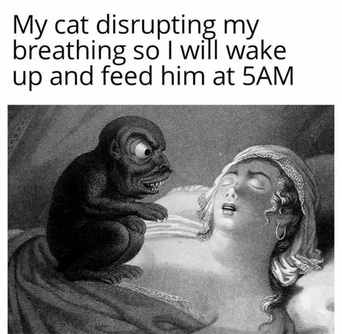 A dark, grotesque mythology meme creature sits on a sleeping woman, captioned My cat disrupting my breathing.