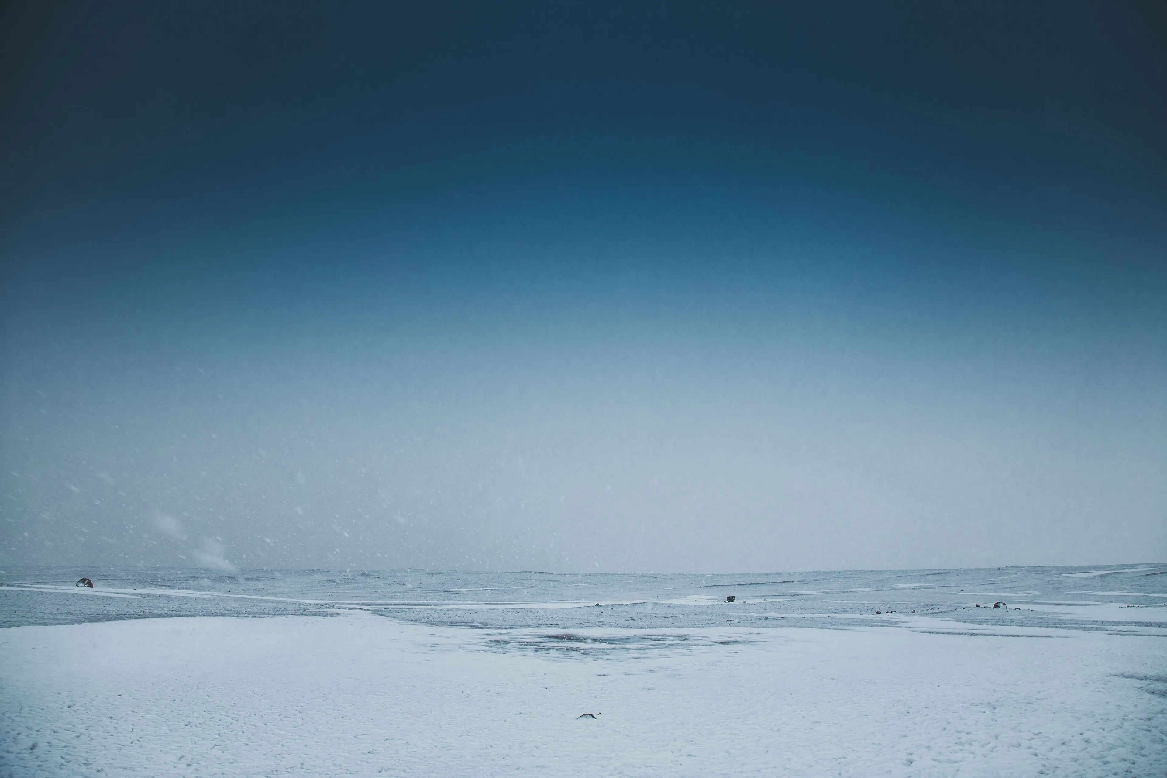 A vast, snow-covered, icy habitat under a clear blue sky, a calming home.