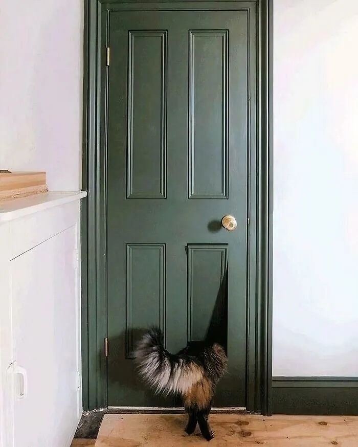 Mil veces mejor que un agujero en tu puerta
