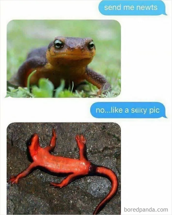 Well He Fell Into That One