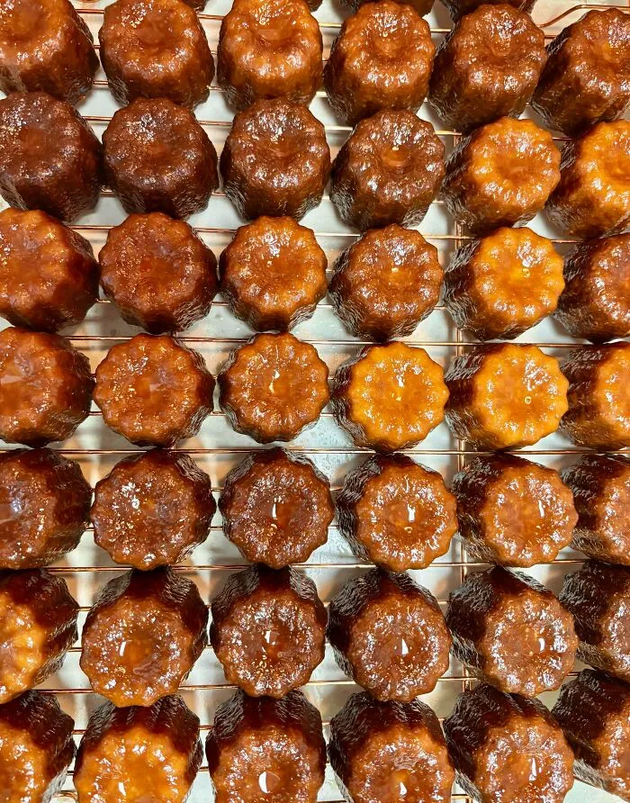 A grid of perfectly baked, golden-brown canelés cooling on a wire rack, showcasing the amazing treats bakers can create.