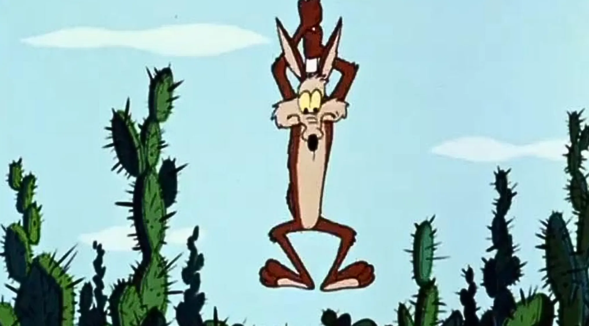 Saturday Morning Cartoon Trivia: What is the name of this character, a cunning coyote, in a classic cartoon scene?
