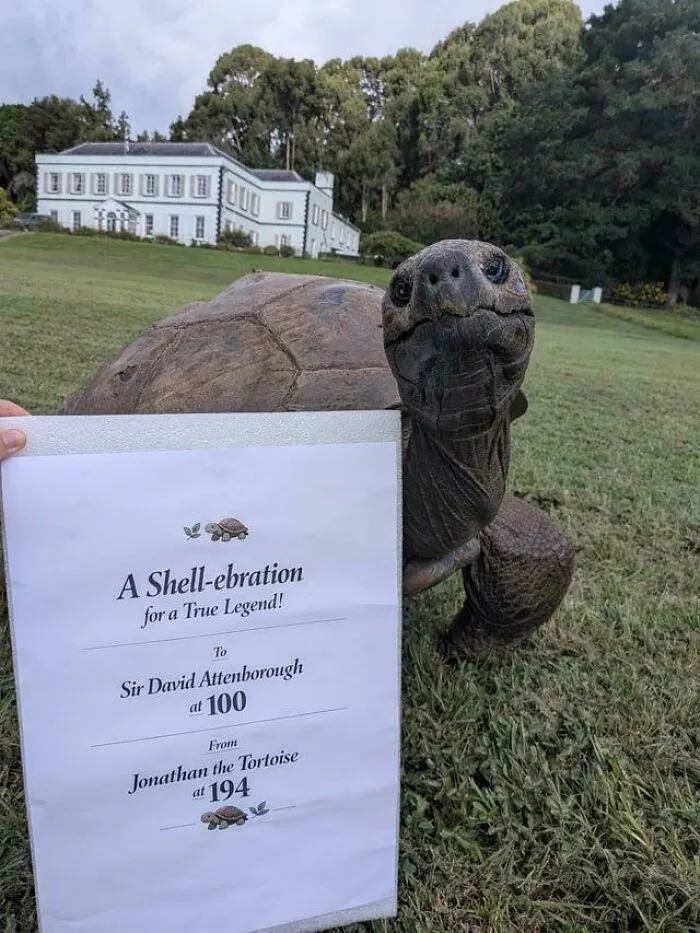 194 Year Old Jonathan The Tortoise Wishes Sir David Attenborough A Happy Birthday