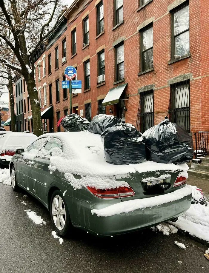 Parking At A Bus Stop On Trash Pick Up Day