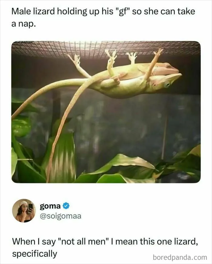 87 Hilarious Screenshots That Prove Not All Social Media Posts Are Toxic And Negative