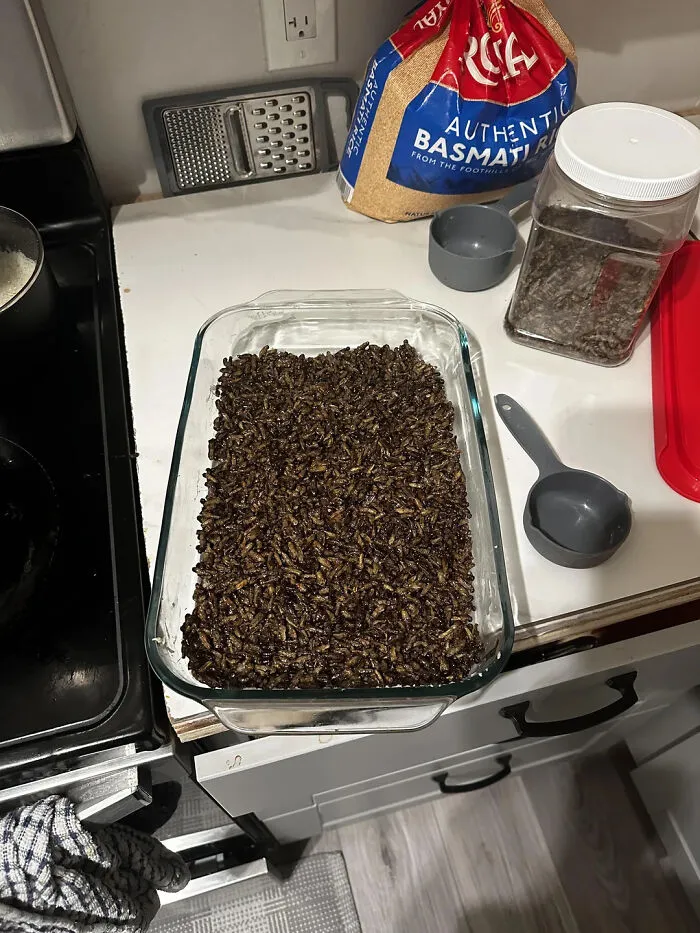 A rectangular glass dish filled with dark, roasted insects, a truly disgusting food item.