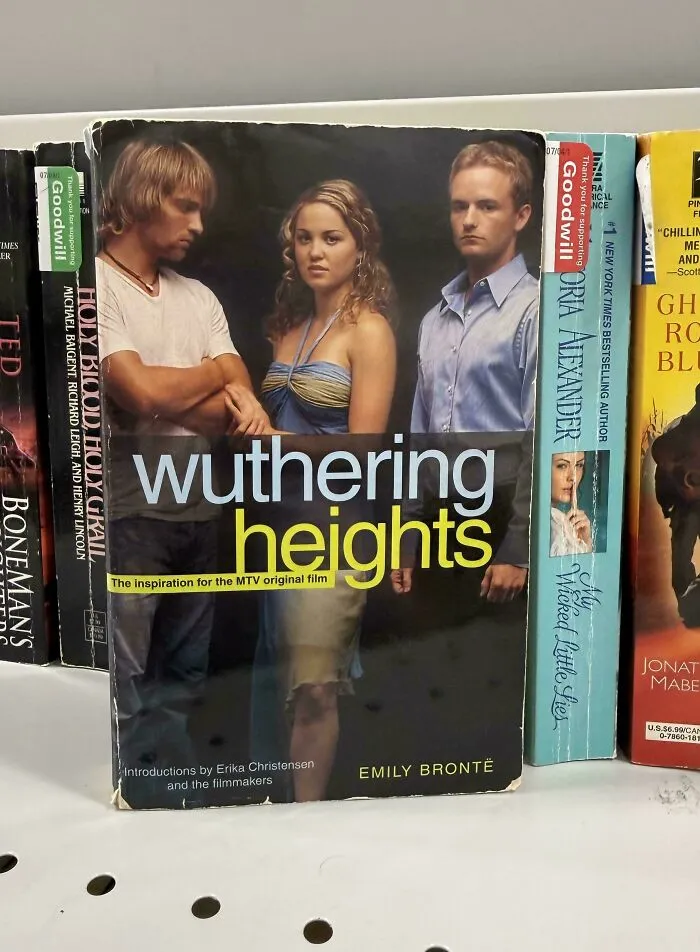 Hilariously unhinged book cover of Wuthering Heights featuring people on the front