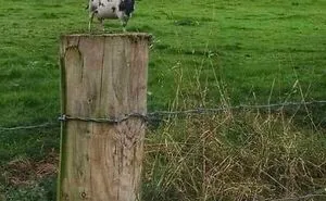 109 Confusing Photos That Might Make You Do A Double Take Because Your Brain Won't Believe Your Eyes