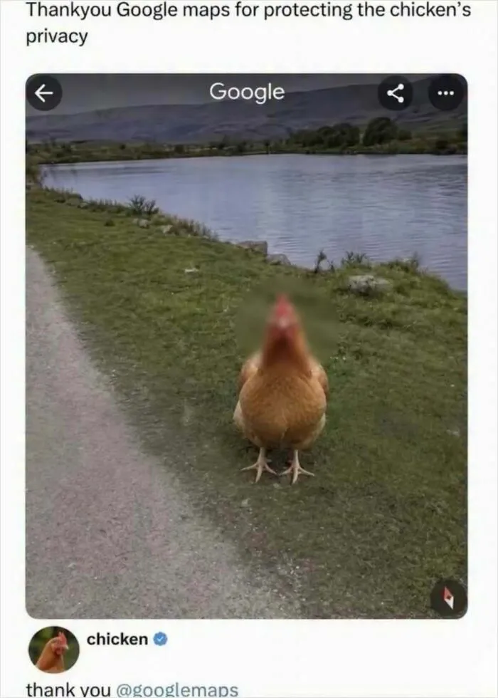 If You’re Having A Rough Day, These 66 Memes And Comments Might Help You Bring Your Smile Back