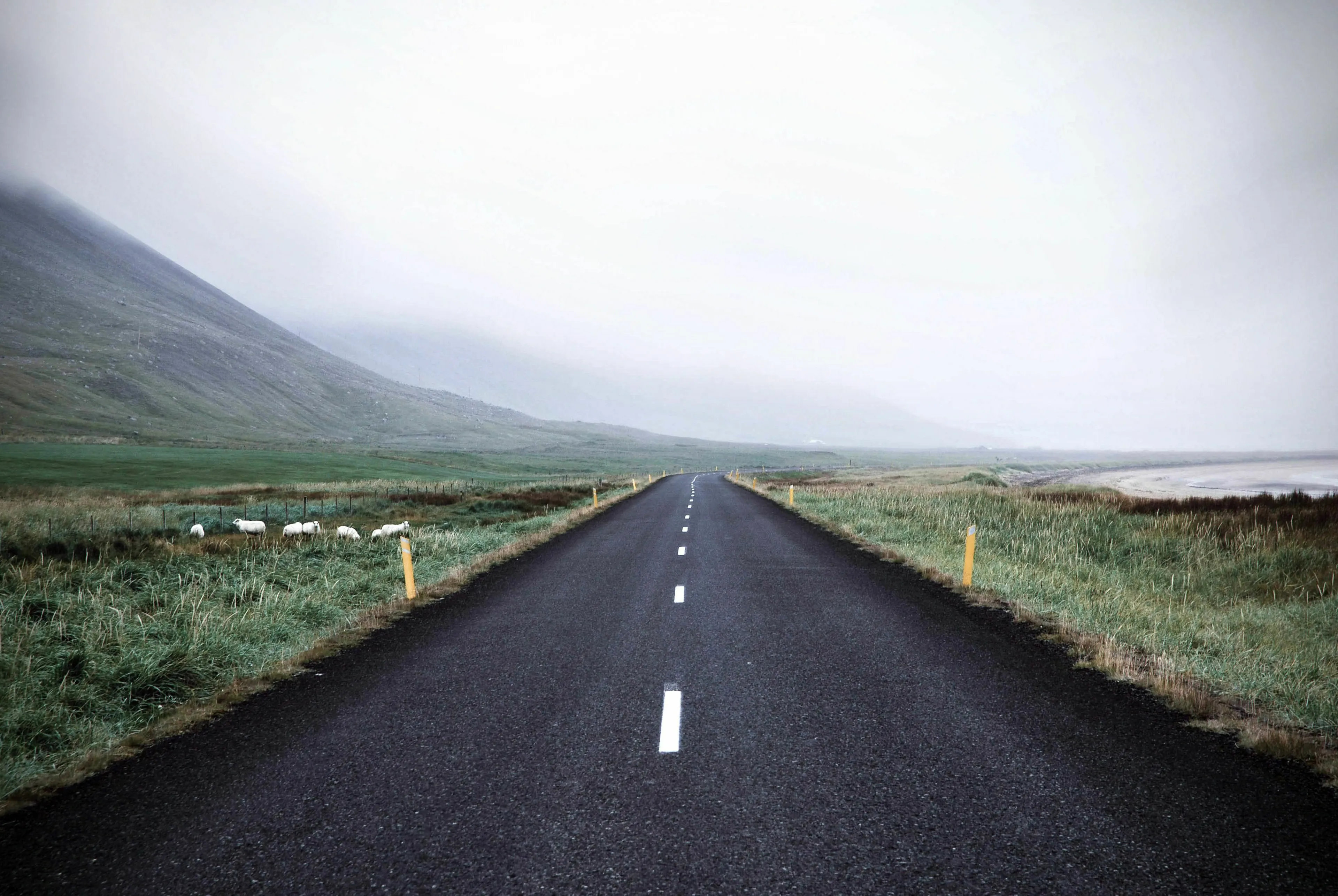 A long, winding road disappearing into the fog, prompting the longest word tricky question.