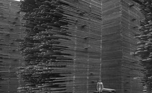 93 Old Photos That Show People And Places That Will Never Return (New Pics)