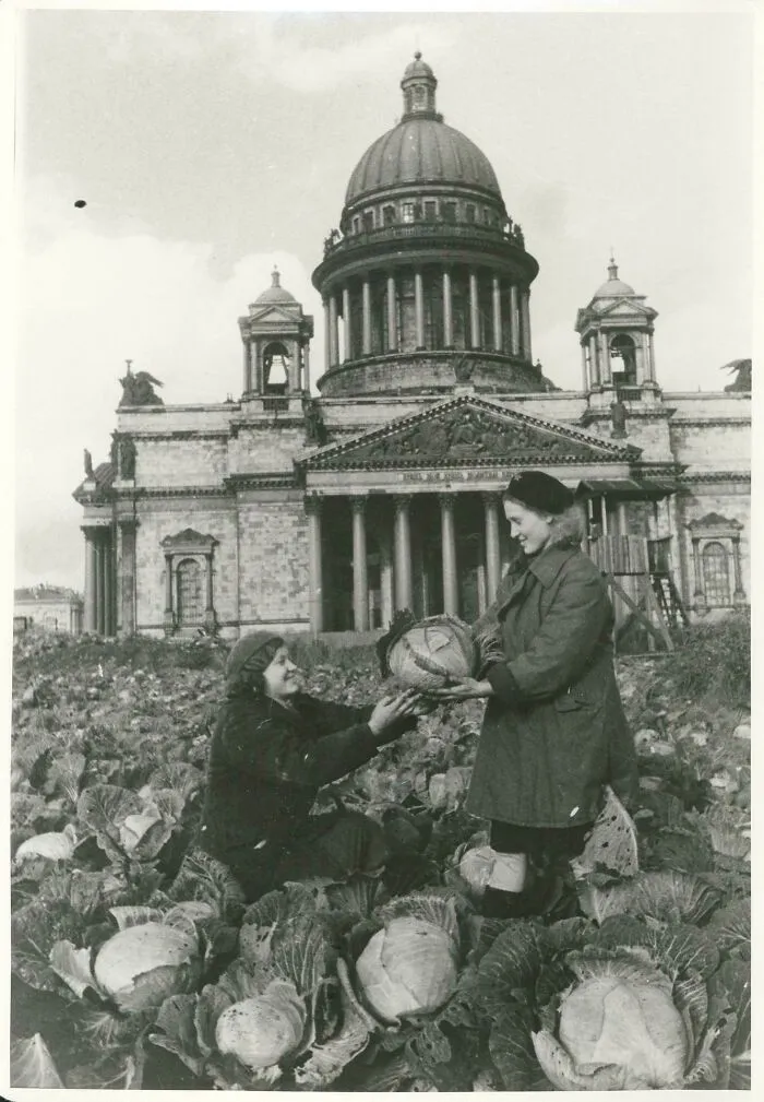 Two women harvest cabbage in a field in front of a large domed building, a historical photo showing a past scene.