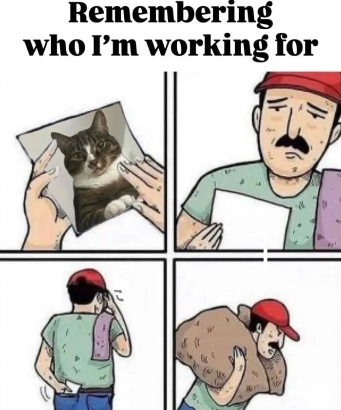 Hilarious cat memes: A man motivated by a picture of a cat works hard, capturing the essence of cat ownership.