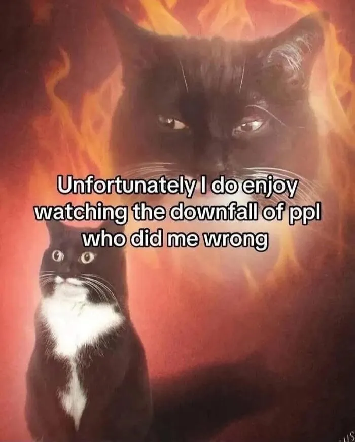 A black cat meme with a fiery silhouette, perfectly capturing what it's like to share a home with cats.