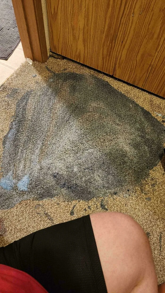 Someone trying to fix things, cleaning a blue spill on a carpet with dark stains.