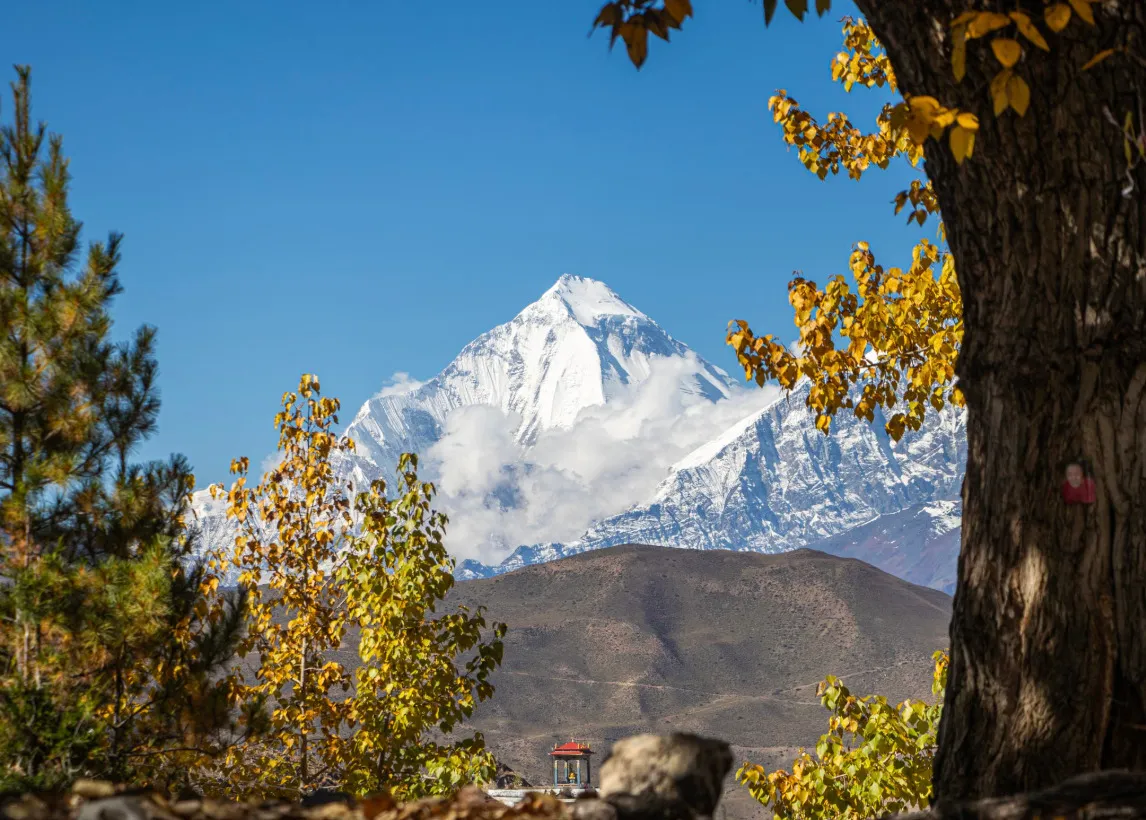 Mount Everest, Nepal, closest to moon and outer space, snow-capped peak framed by autumn trees under a clear sky.