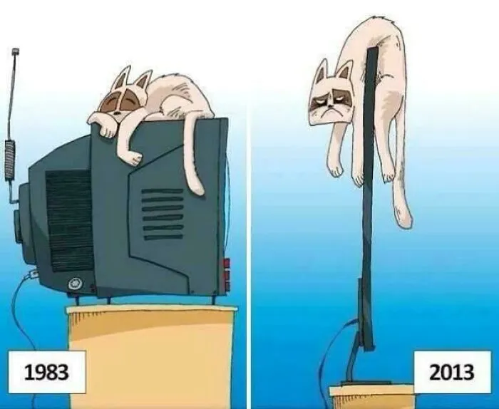 Nostalgic meme comparing cats on 1983 CRT TVs and 2013 flat-screen TVs, highlighting an ancient meme that still cracks people up.