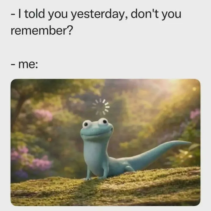 Don't You Remember
