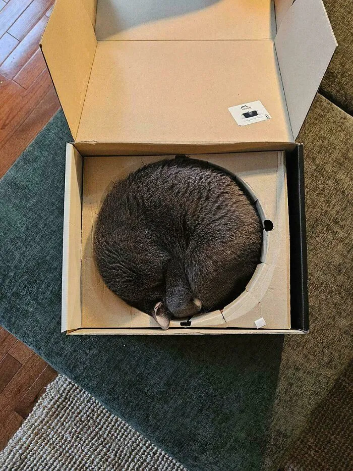 Unboxing