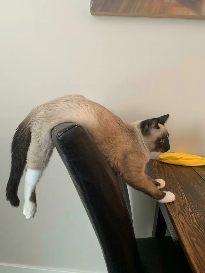 This Is His Favorite Spot