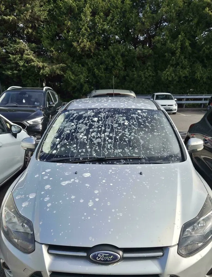 I Could Have Parked Anywhere At Work