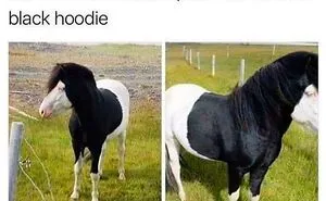 79 Mildly Amusing Pics That May Improve Your Day (New Pics)