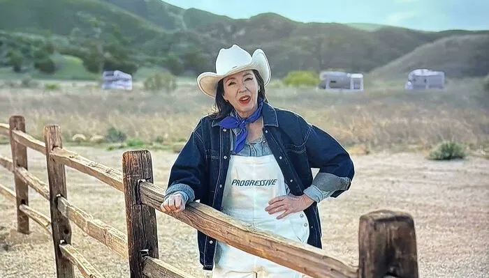 Hey Progressive, It’s Really Time To Pack It Up. I Can’t Look At Her Anymore