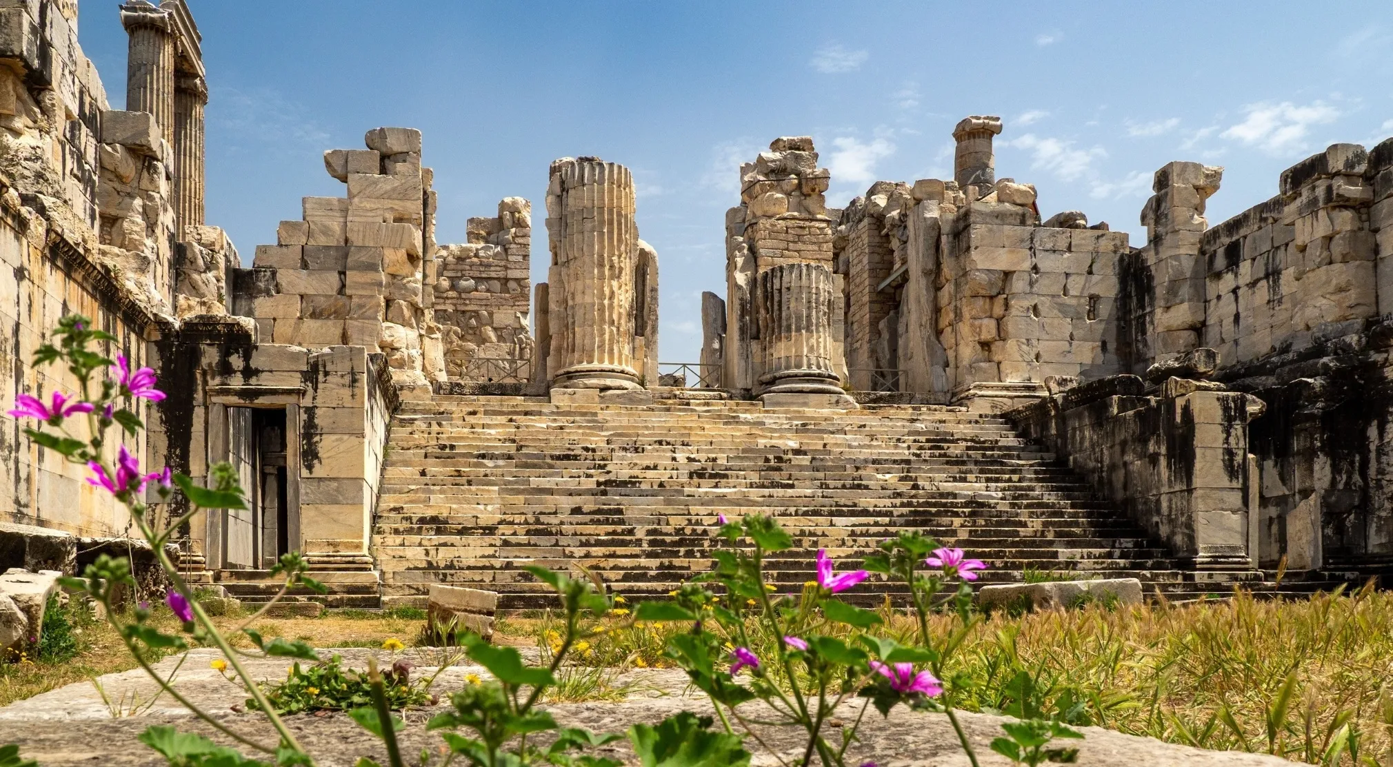 Ancient Civilizations: Ruins of the Hellenistic civilization, with grand stone steps and columns under a blue sky.