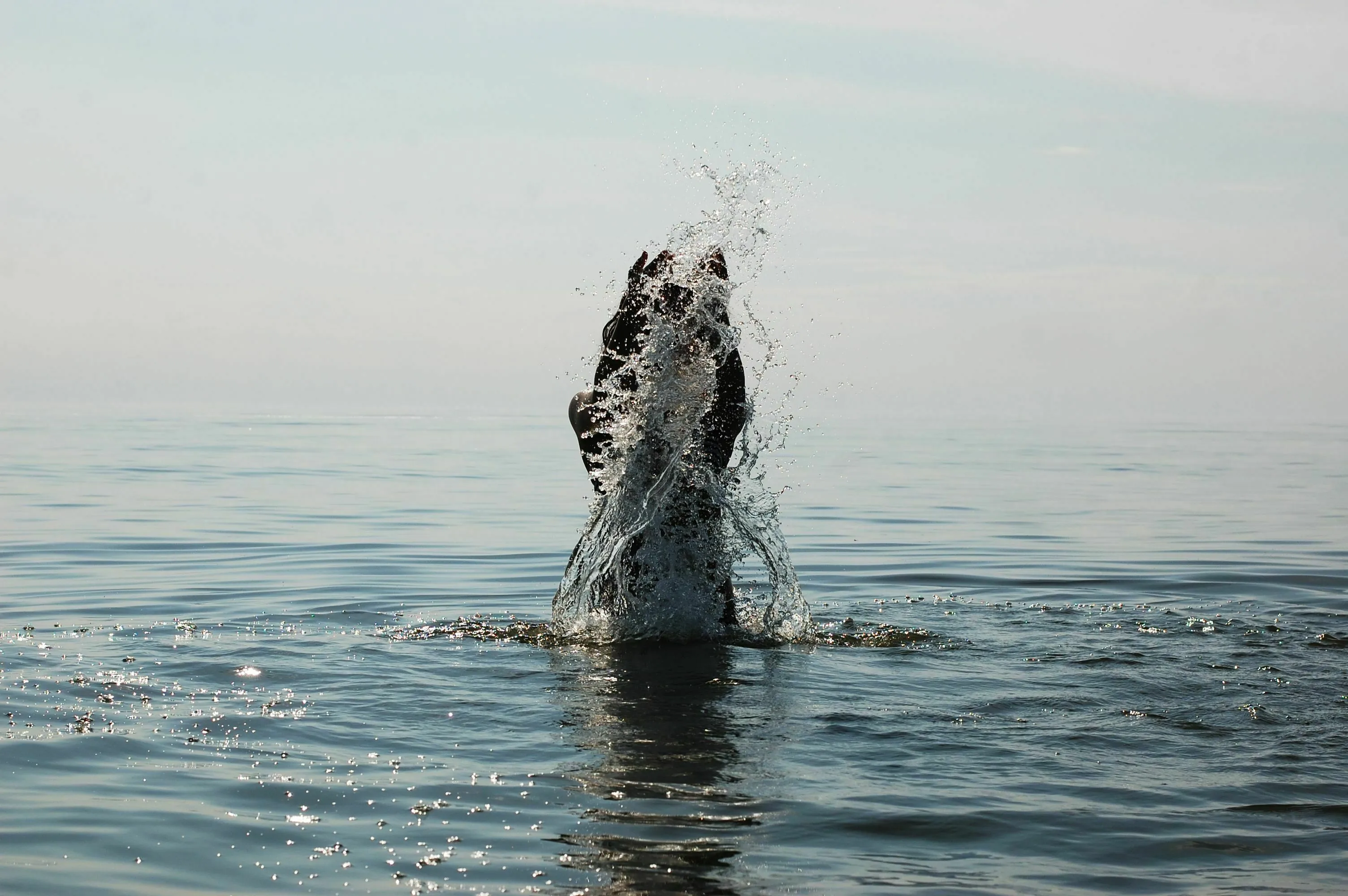A sea monster splashes in the ocean, blocking the path during a mythological quest.