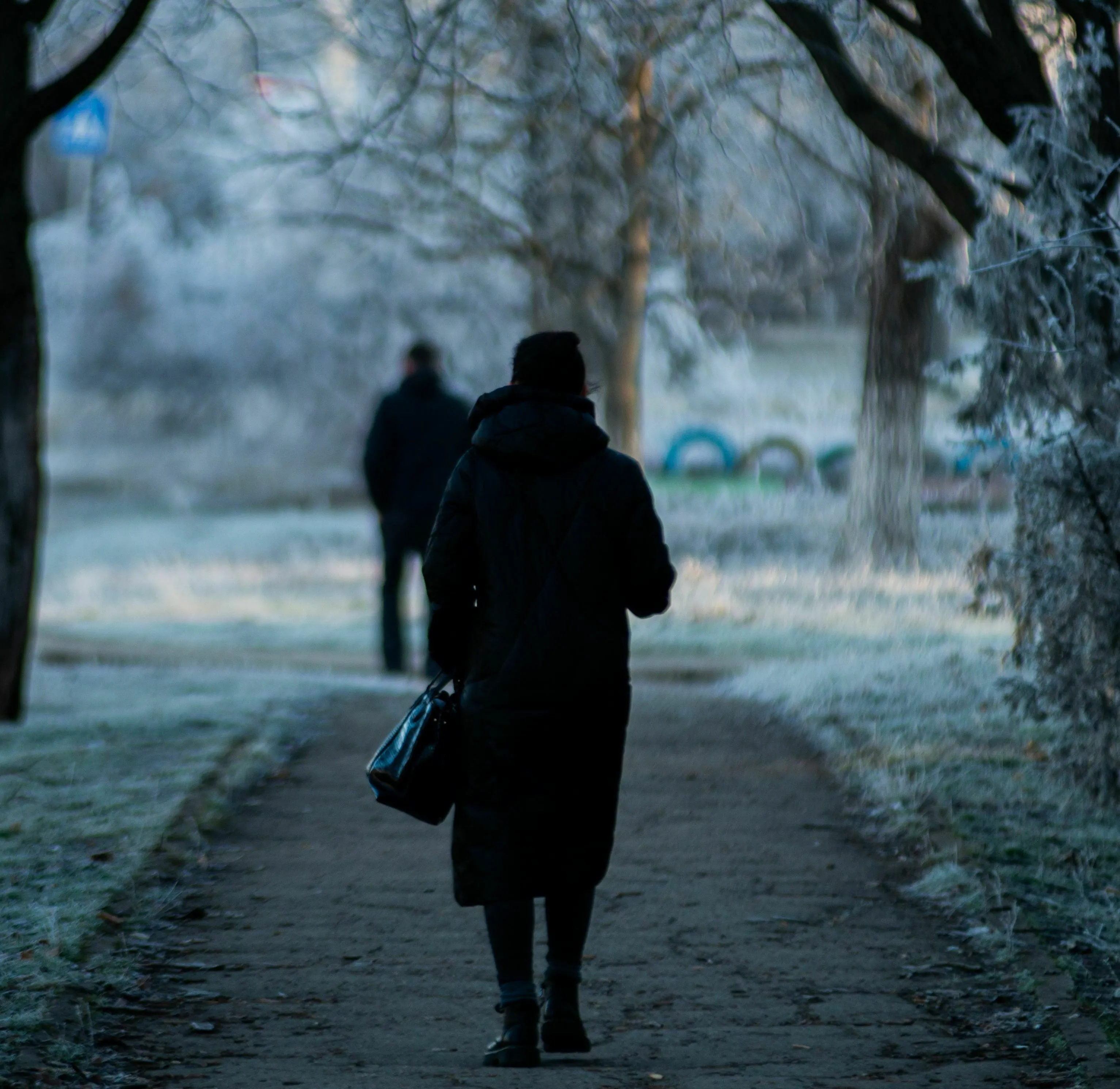 A person walking away from another on a frosty path, representing a mythological quest where a loyal companion falls behind.
