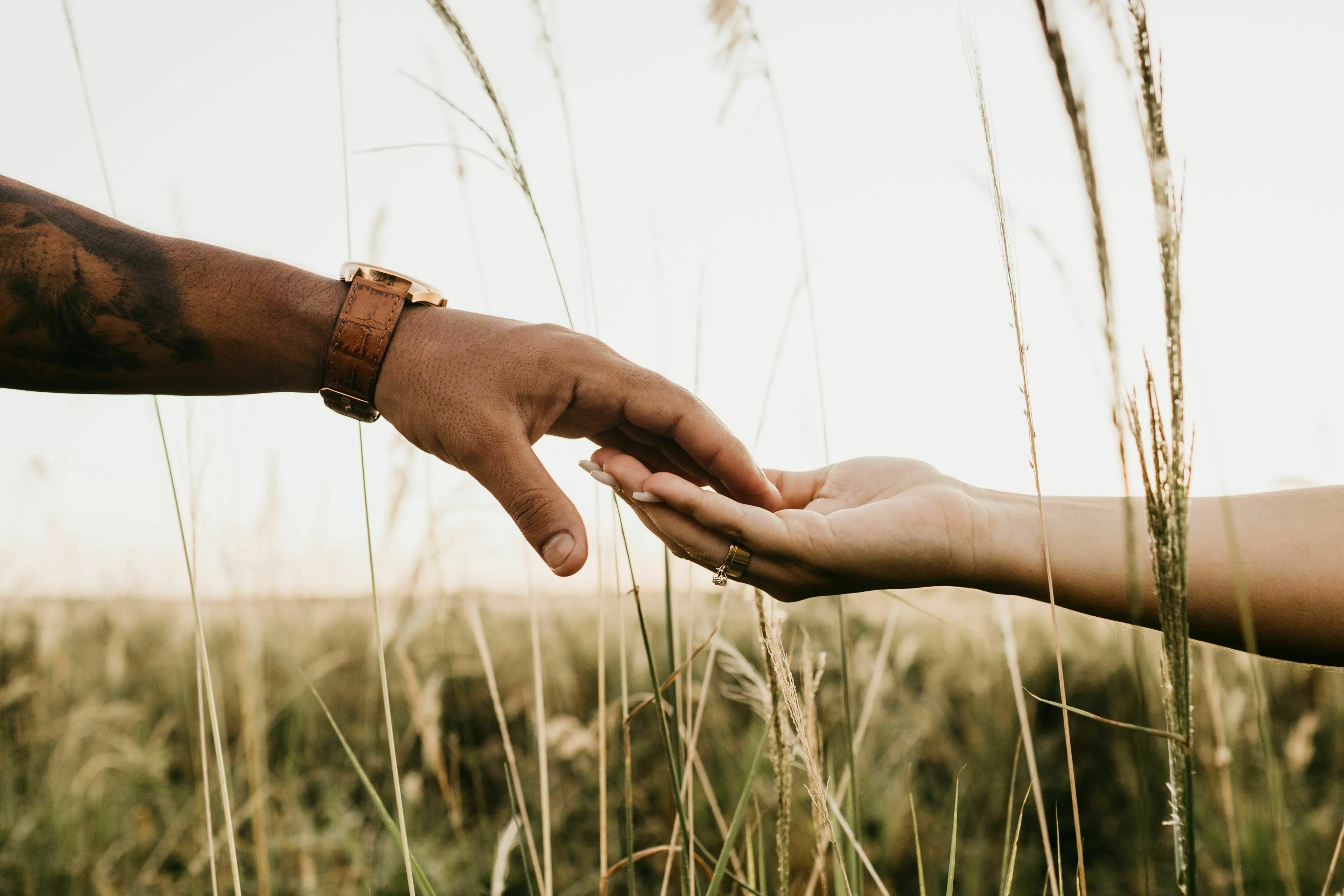 Two hands reach out to each other in a field, symbolizing the choice between duty and desire in a mythological quest.