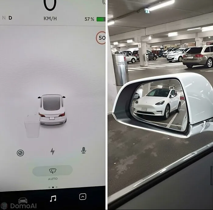 Blursed Tesla. Well Well Well