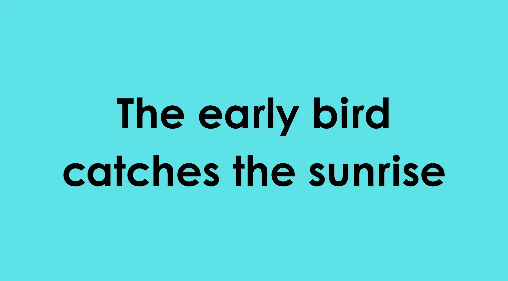 Image displays an incorrect idiom: The early bird catches the sunrise. The viewer is asked to repair the idiom.