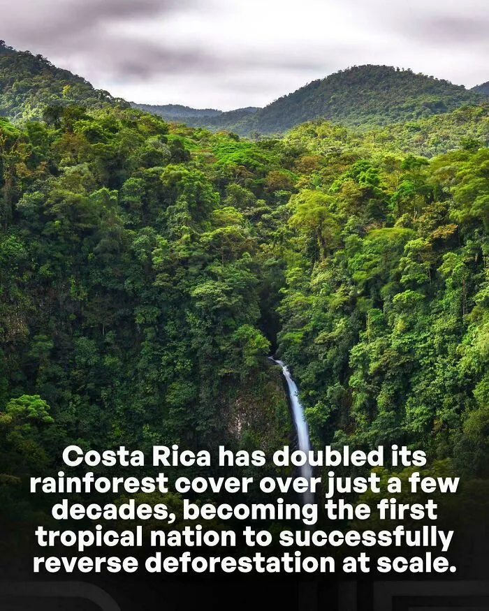 Good News: Costa Rica Brought Its Forests Back 