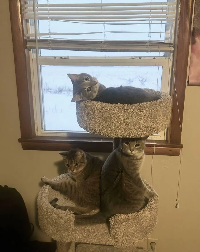 I Think I Interrupted Them