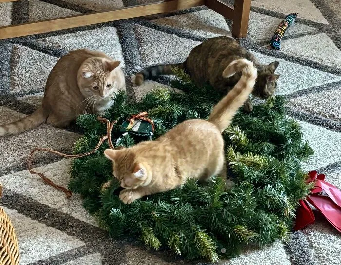 All Holiday Decor Must Be Approved By The Council