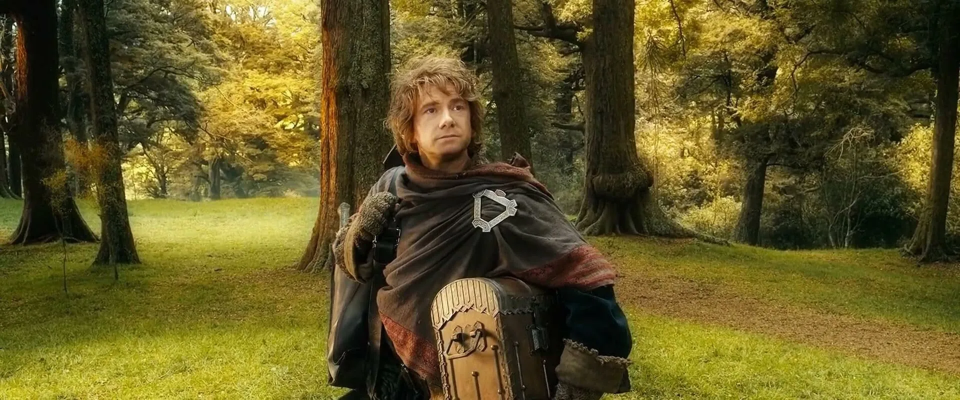 Bilbo Baggins, a character from The Hobbit series, sitting in a forest, representing the books in The Hobbit series.
