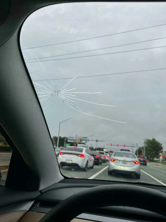 Intenté aplastar un insecto en mi coche.