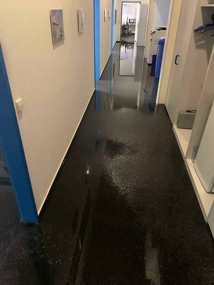 Mi jefe instaló un dispensador de agua ayer. Esta mañana, llegamos a la oficina y nos encontramos con esto.