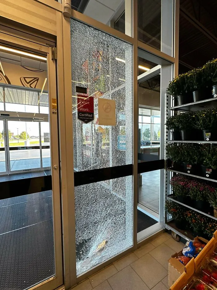 Esta mañana estaba tan estresado que accidentalmente golpeé un palé contra la ventana, ¡apenas!, pero al parecer fue suficiente.