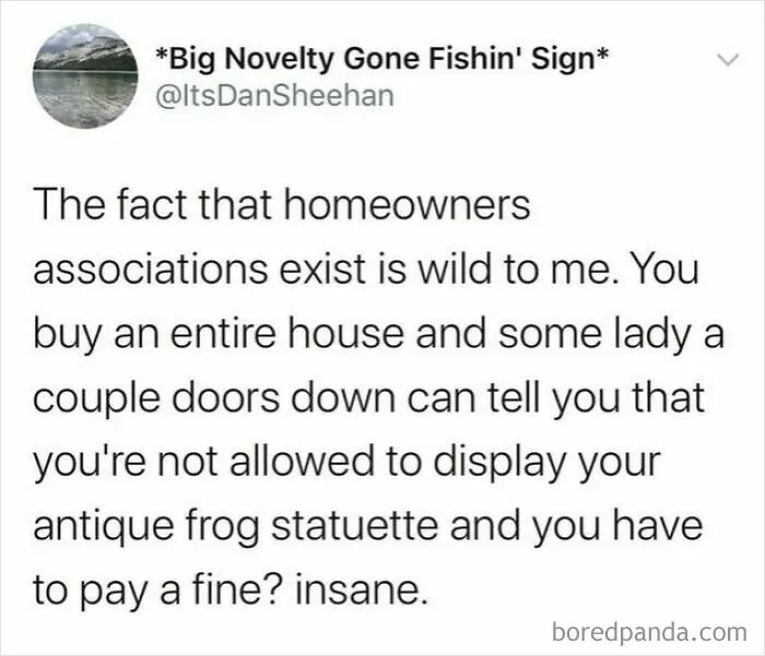 What Did The Frog Do?