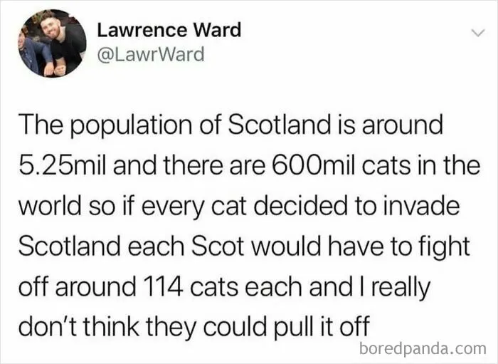 114 Is A Lot Of Cats, For Sure