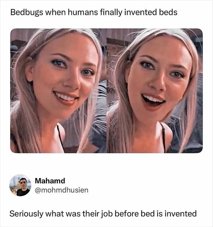 Hilarious-Respectful-Memes