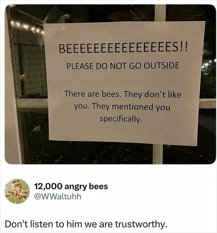 If Reality Is Too Much Right Now, Here Are 90 Relatable And Respectful Memes To Boost Your Morale (New Pics)