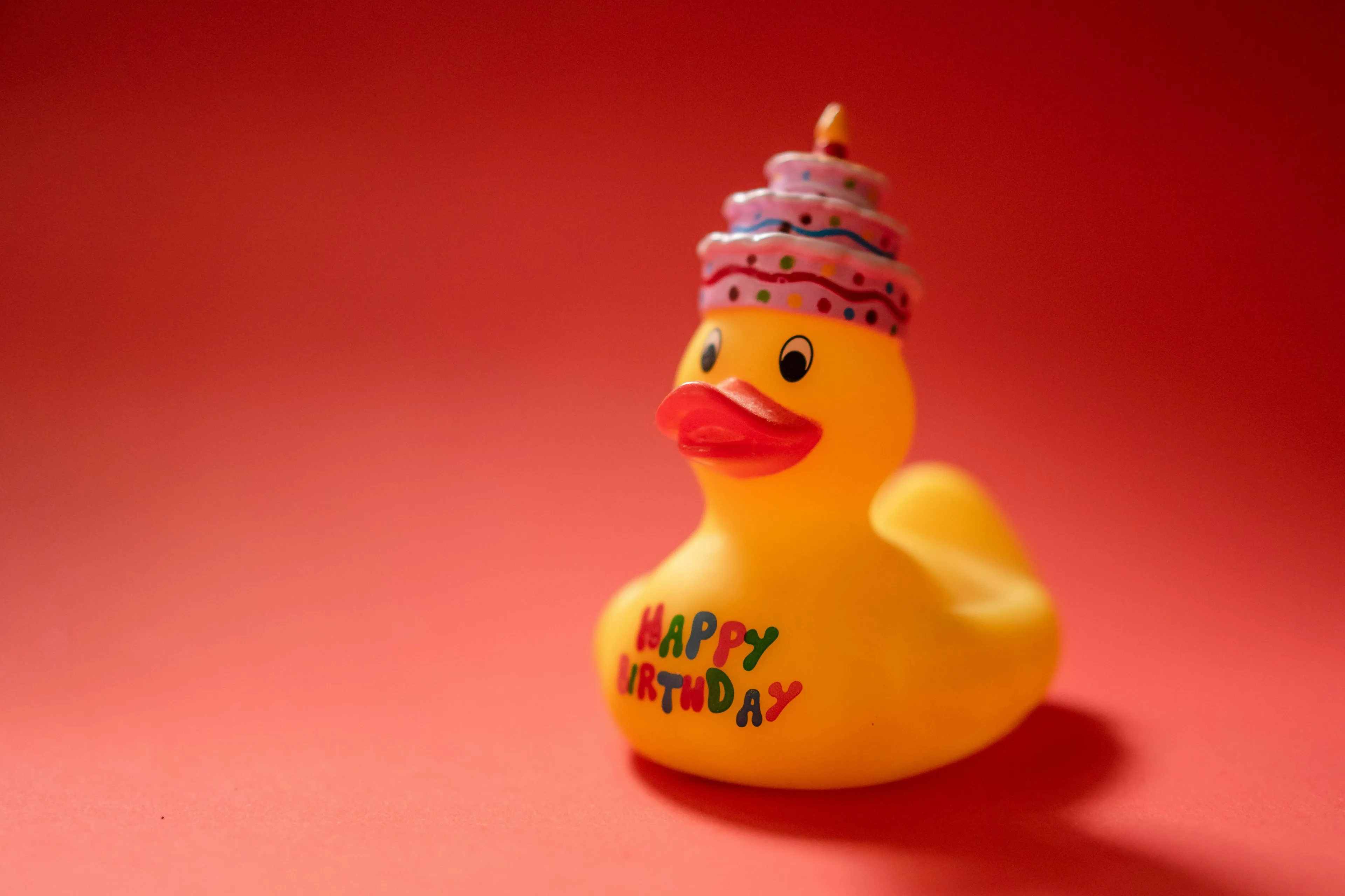 A rubber duck wearing a birthday cake hat with HAPPY BIRTHDAY written on its chest. Triggers envy for a kid's birthday party.
