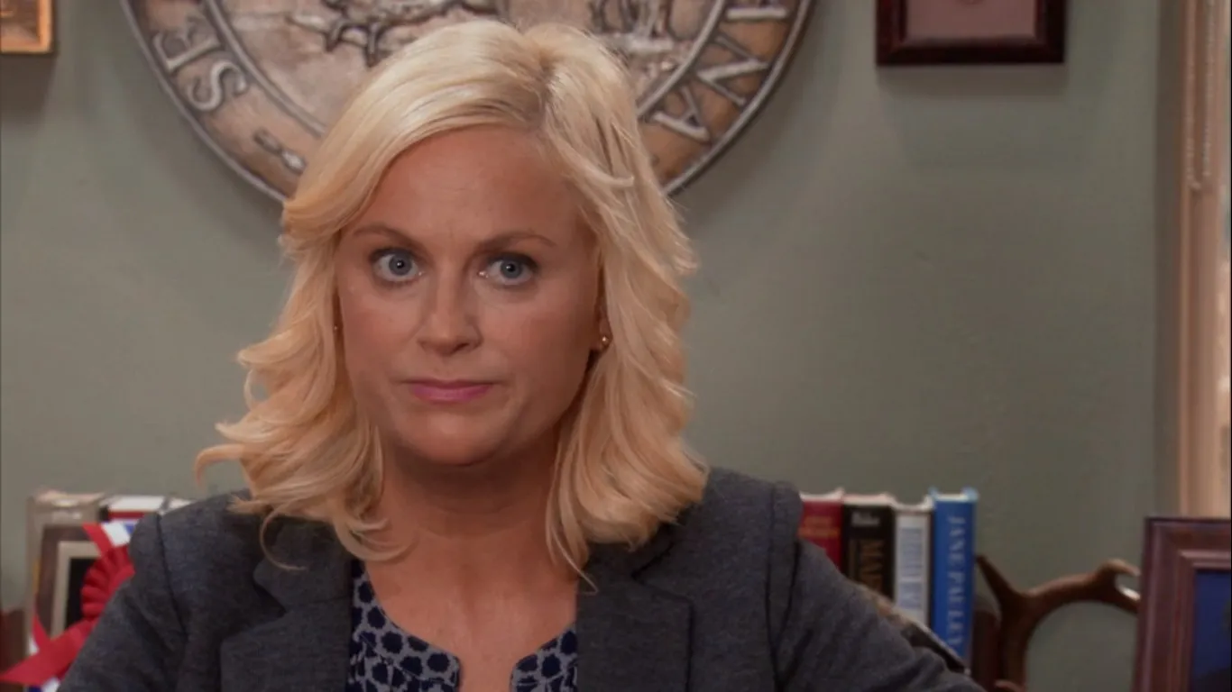 Leslie Knope, a fictional character from Parks and Recreation, is someone many people low-key envy.